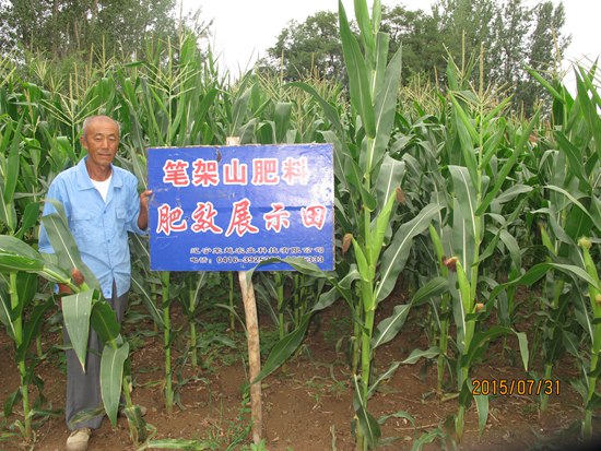 錦州市 溫滴樓鎮(zhèn) 大勝村 張保凱