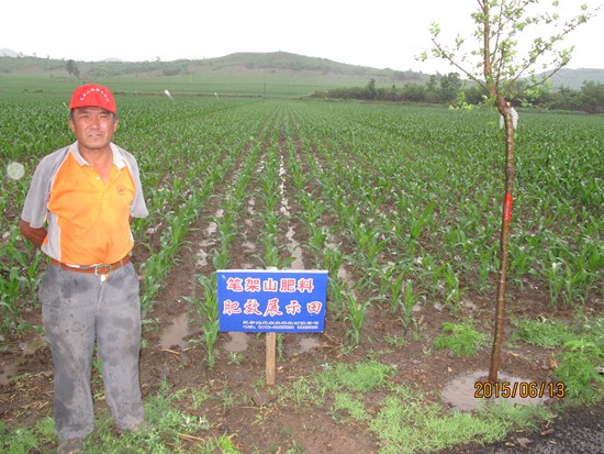 沈家臺(tái)鎮(zhèn)張杠村杜春明