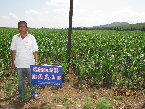 沈家臺(tái)鎮(zhèn)張家窩棚侯建峰