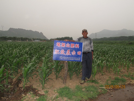 溫滴樓鎮(zhèn)村懂果順