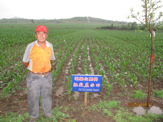 凌海市沈家臺(tái)鎮(zhèn)張杠村杜春明