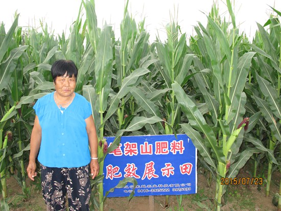 凌海市雙羊鎮(zhèn)午旗村司貴華