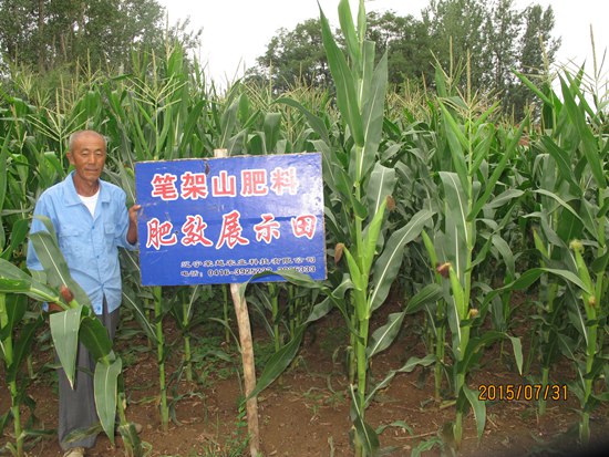 溫滴樓鎮(zhèn) 大勝村 張保凱 