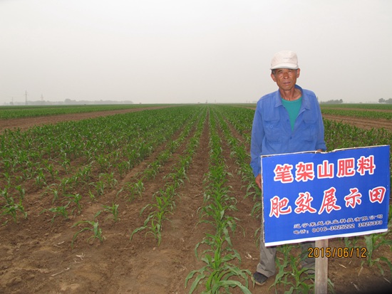 新莊子鎮(zhèn)徐河村李玉華