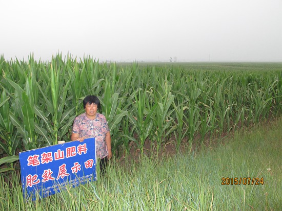 錦州市女兒河鄉(xiāng)前白村賀麗娟