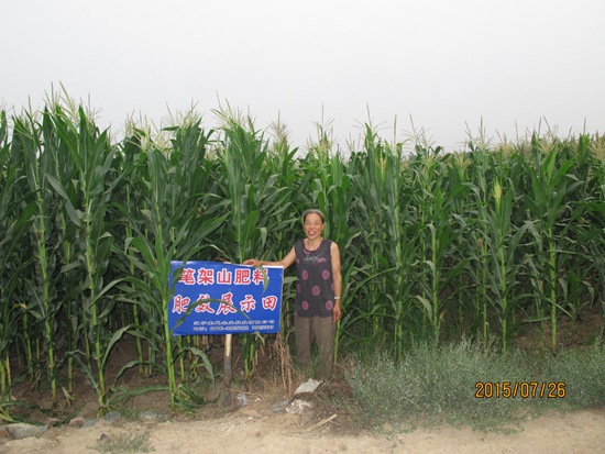 凌海市 雙羊鎮(zhèn) 久字屯 苗樹芬