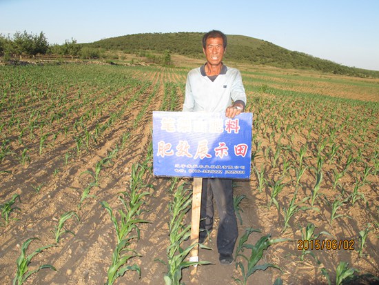 凌海市溫滴樓鄉(xiāng)富友村江溝屯陳鐵安