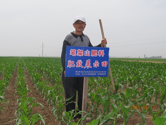 新莊子鎮(zhèn)徐河村趙樹(shù)青