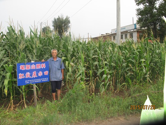 錦州市 女兒河鄉(xiāng) 金廠堡村 劉洪鵬 