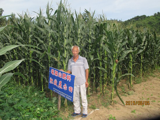 葫蘆島 山神廟子鄉(xiāng) 山東村 林靜凡