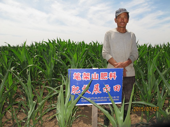 新莊子鎮(zhèn)大明村王書明