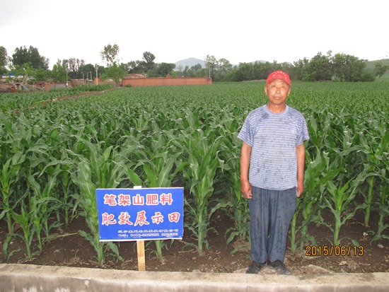 凌海市沈家臺(tái)鎮(zhèn)張杠村杜書(shū)仁